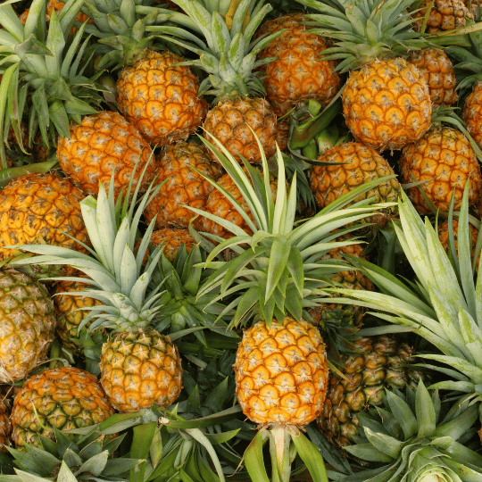 Napar ananasowy z trawą cytrynową i guayusą