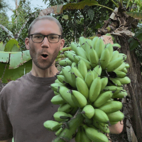 Chewy Bananas