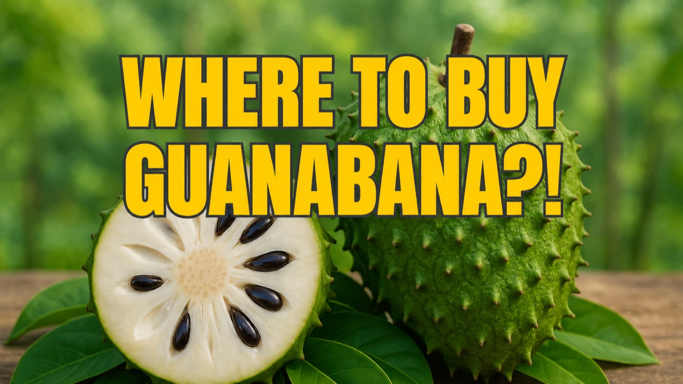 Buying Guanabana: The Ultimate Guide for Germany