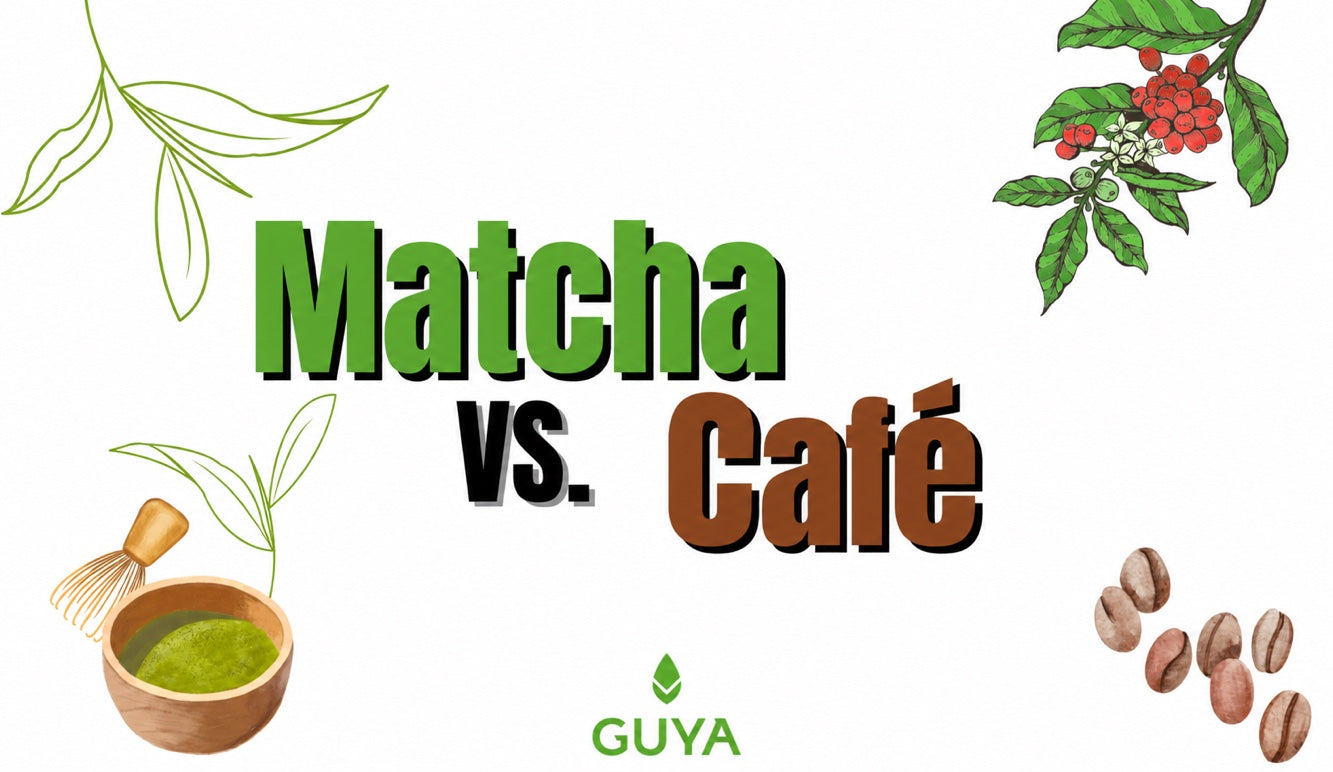 Matcha o café: ¿cuál eliges?