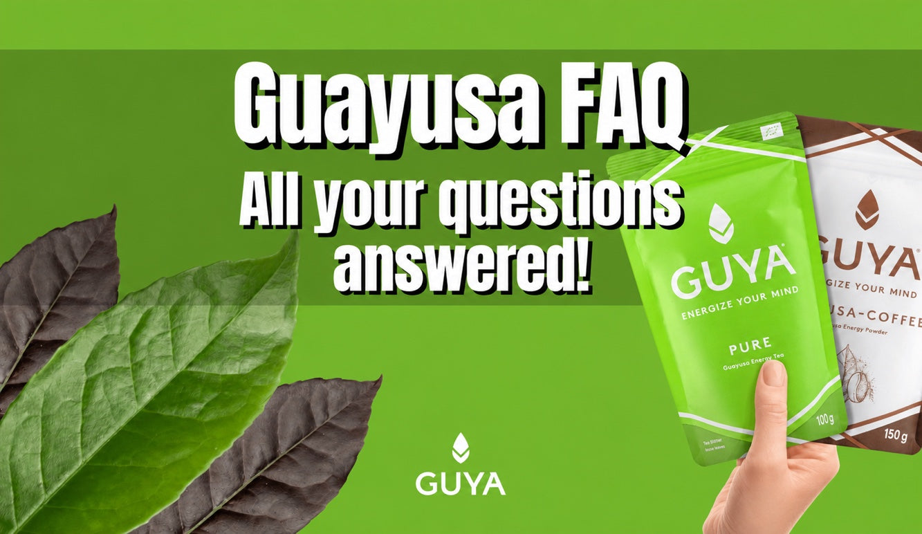 FAQs about Guayusa & caffeinated drinks