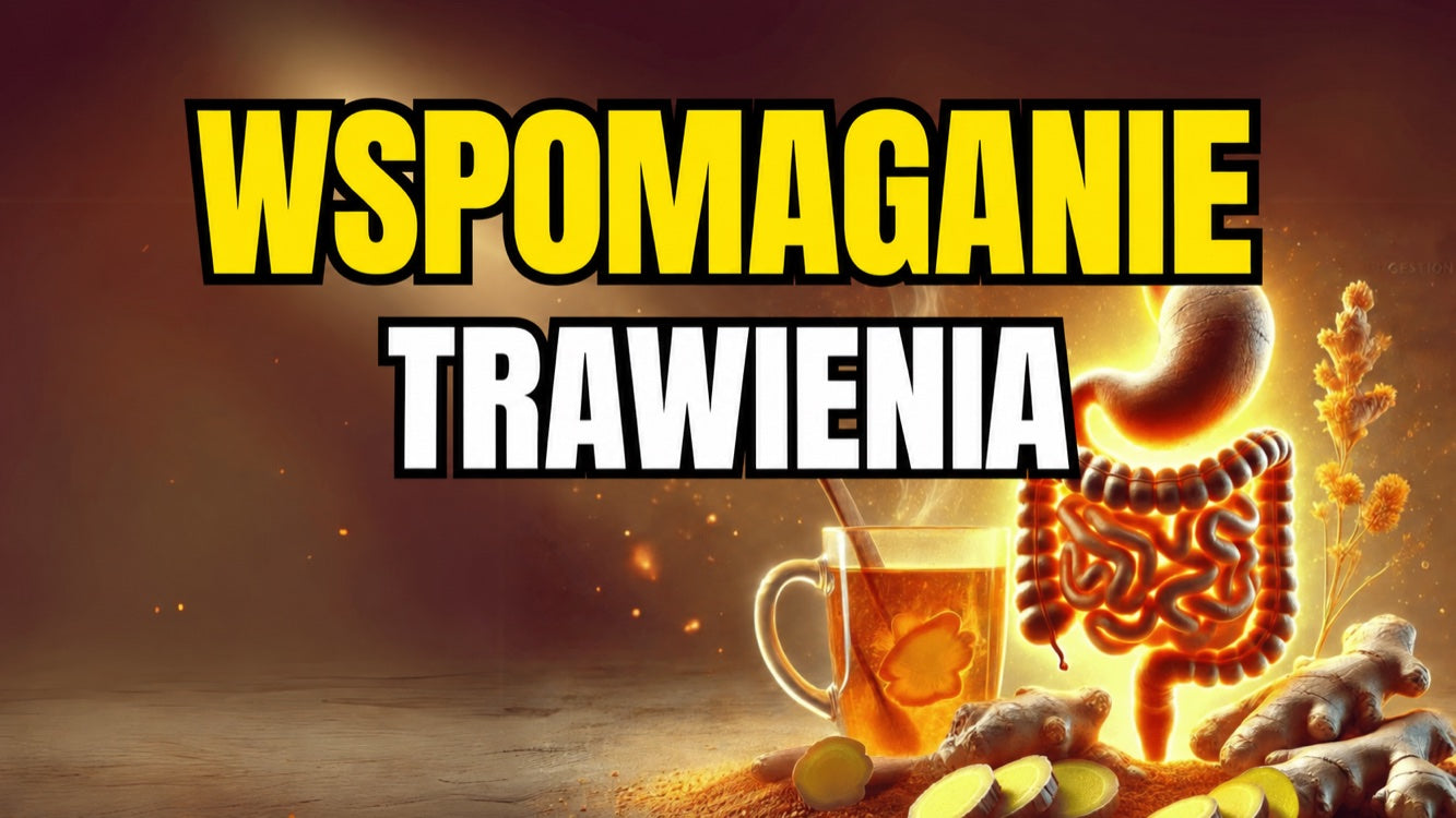 Imbir a trawienie — pomoc przy dolegliwościach żołądkowo-jelitowych