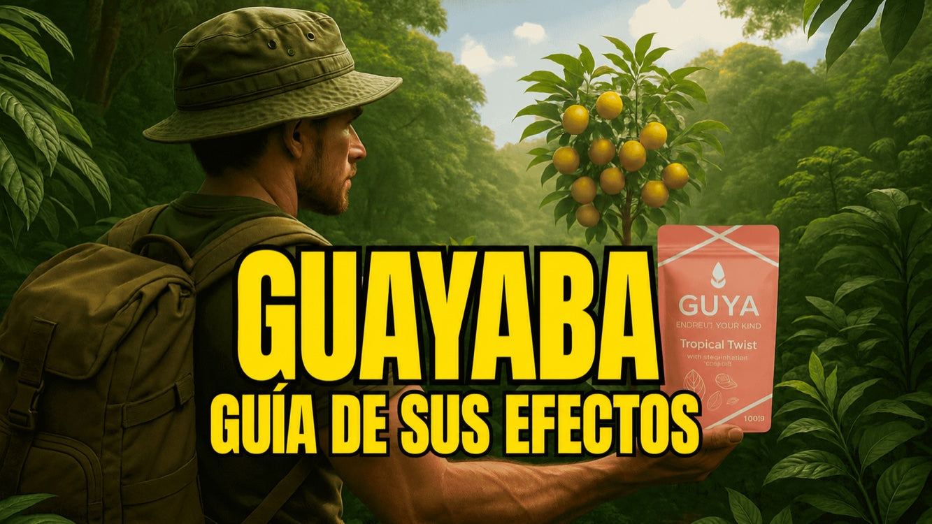 Guayaba: sabor, efectos e infusión – guía sobre esta fruta tropical