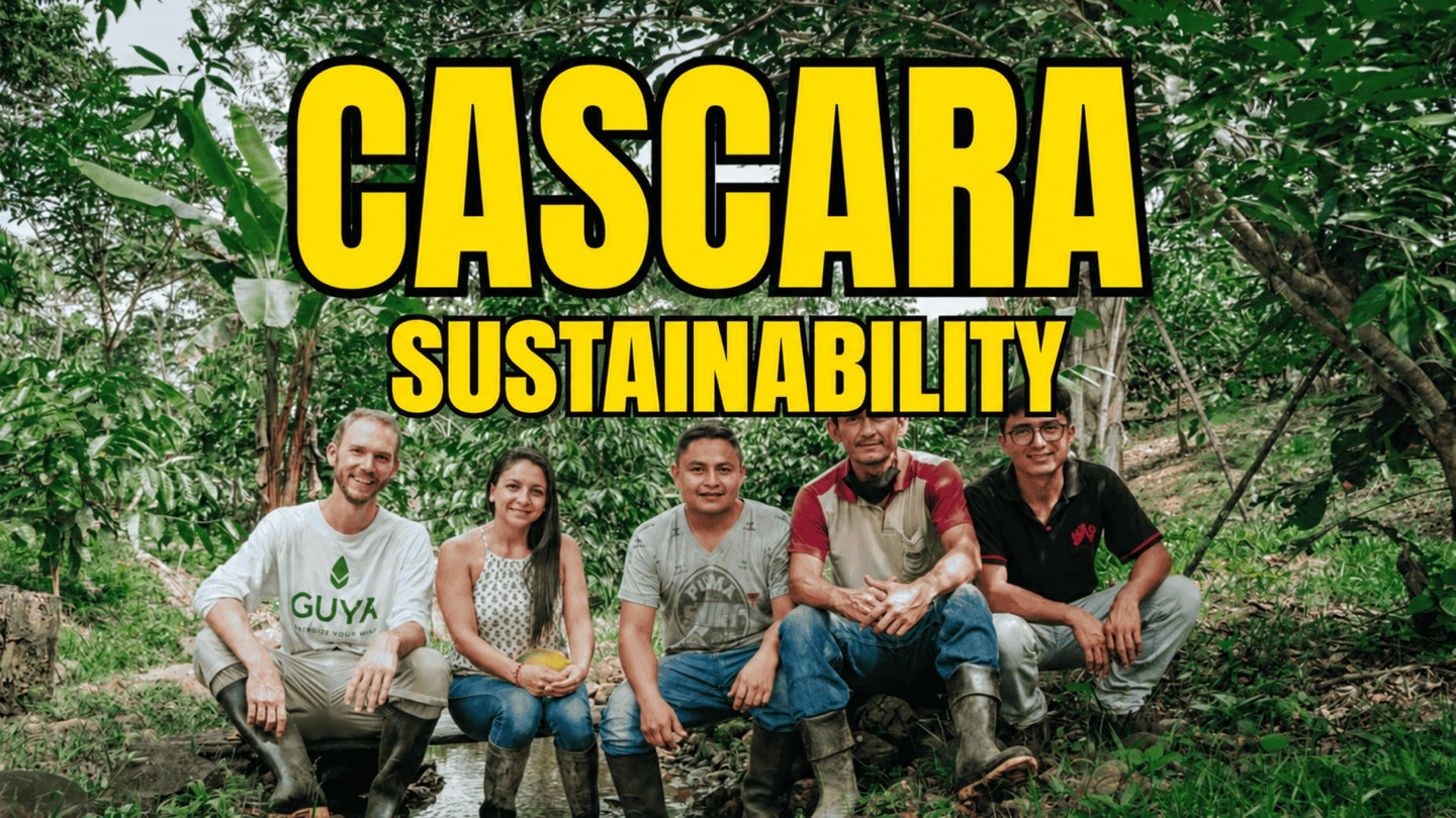 Sustainable coffee cherry: how cascara can reduce waste