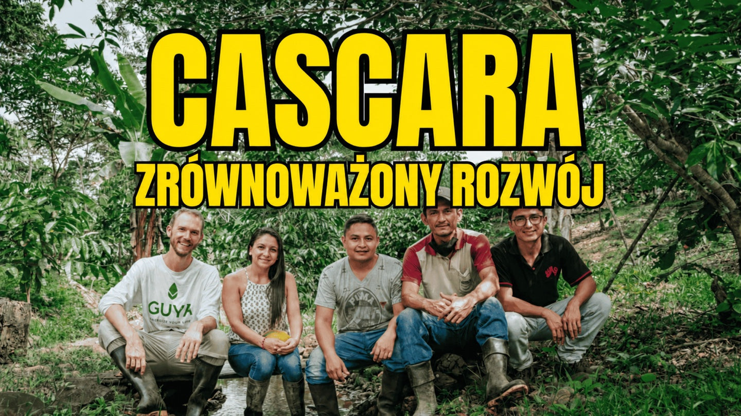 Zrównoważone wykorzystanie owoców kawowca — jak cascara ogranicza odpady!