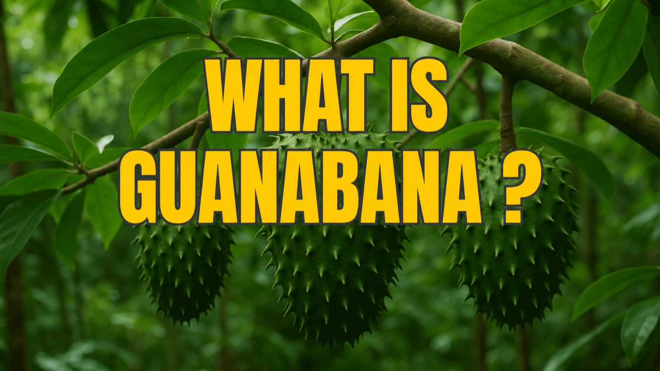 What Is Guanabana? All About the Exotic Soursop