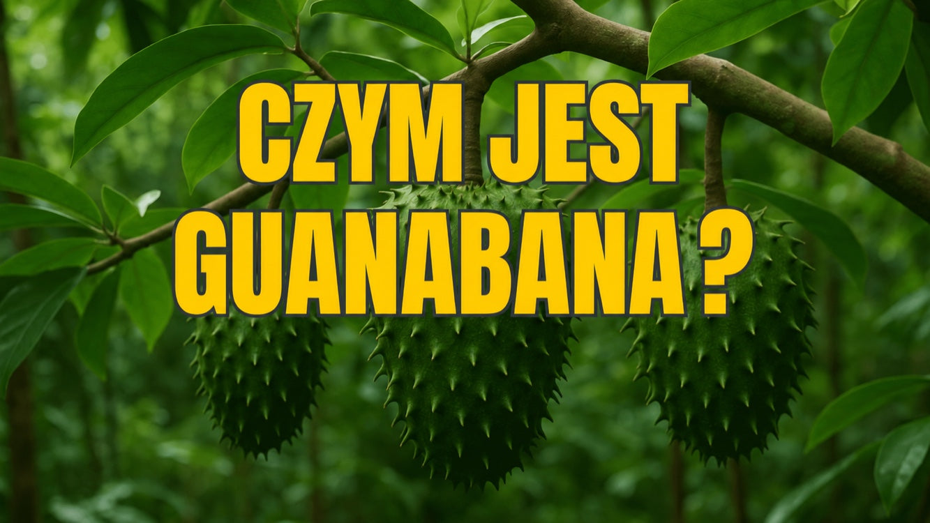 Czym jest guanabana? Wszystko o egzotycznym flaszowcu miękkociernistym