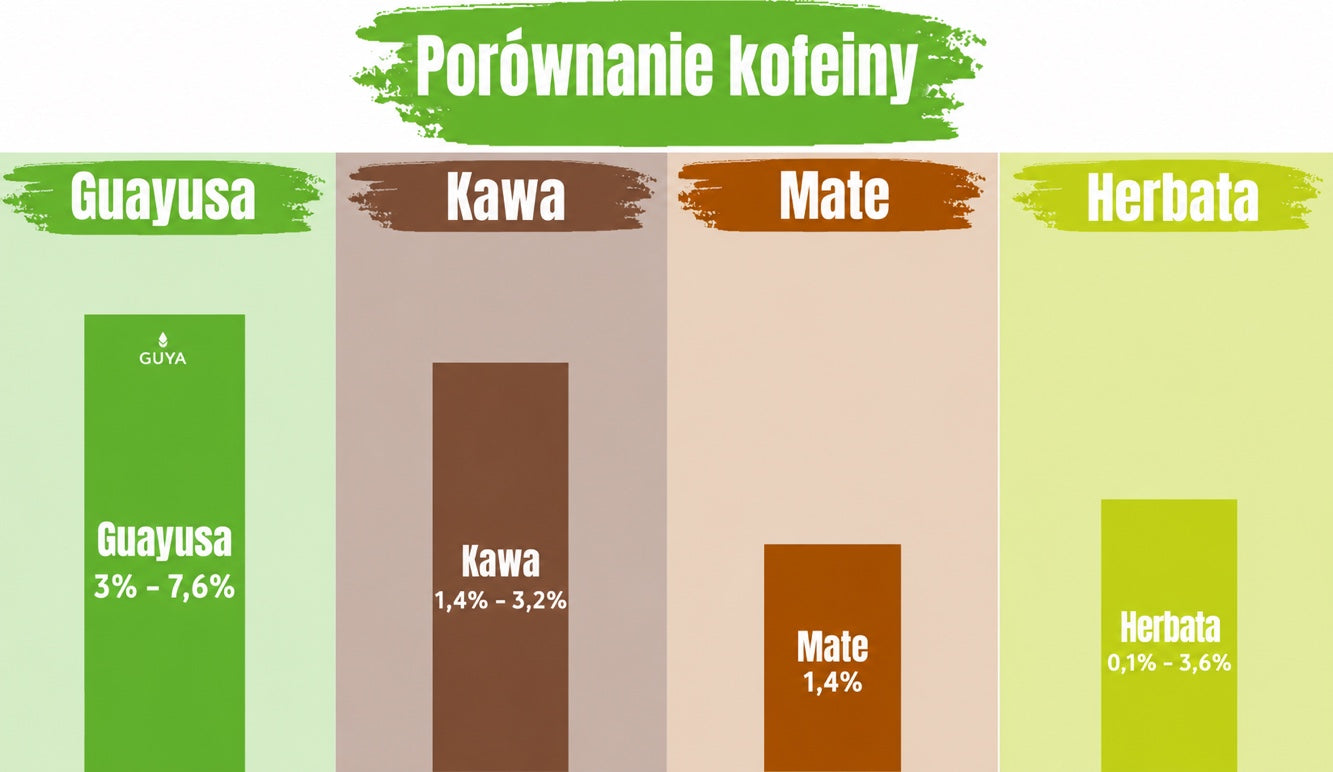 Porównanie zawartości kofeiny w yerba mate i guayusie — który napar ma najwięcej kofeiny?