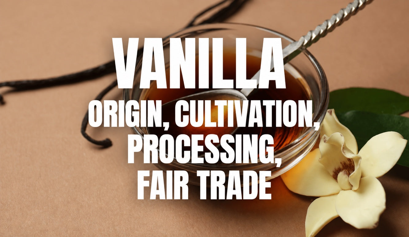 Amazonian vanilla: history, origin, cultivation & processing