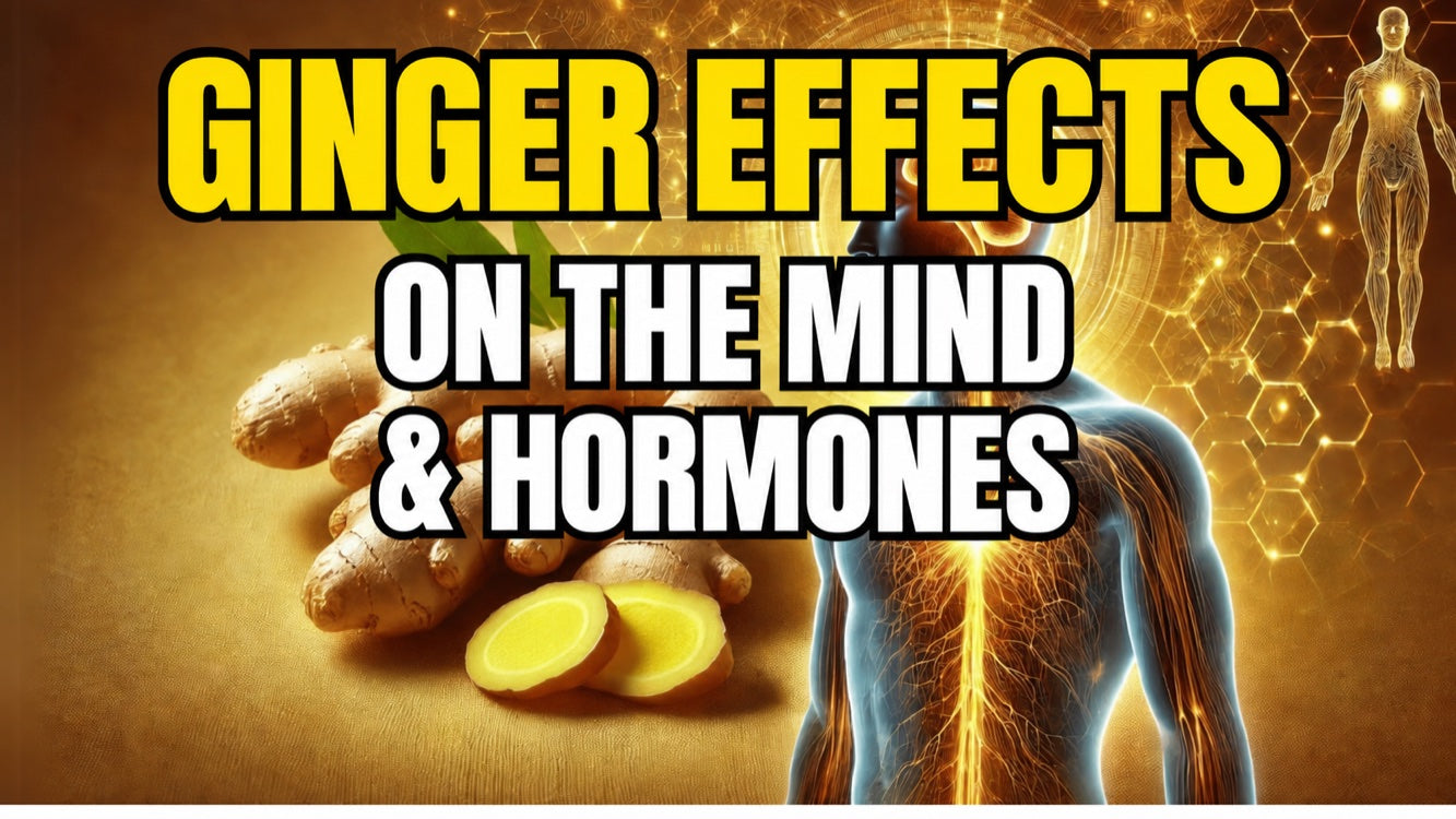 Ginger’s effects on mood & hormones: a natural mood booster