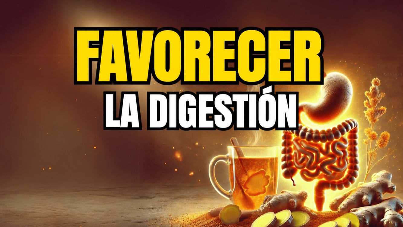 Jengibre y digestión: ayuda para las molestias gastrointestinales