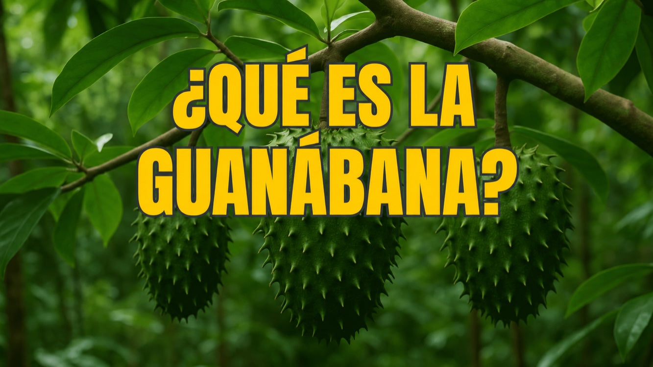 ¿Qué es la guanábana? Todo sobre esta exótica fruta