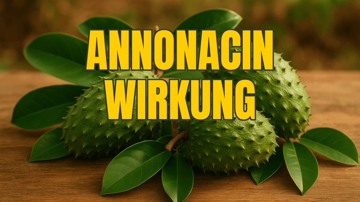 Annonacin Wirkung: Das Paradoxon von Guanabana gegen Krebs und Parkinson erklärt