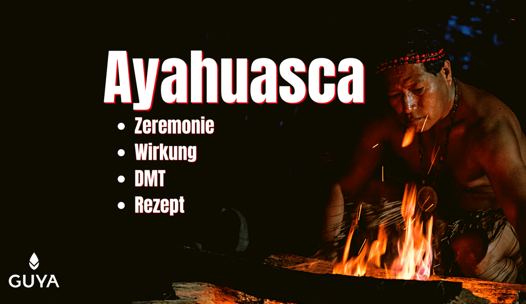 Ayahuasca ceremony & retreat - effect, DMT & recipe