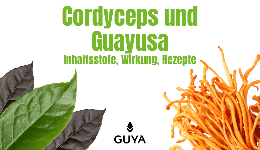 Cordyceps & Guayusa – Kombination für mehr Gedächtnisleistung