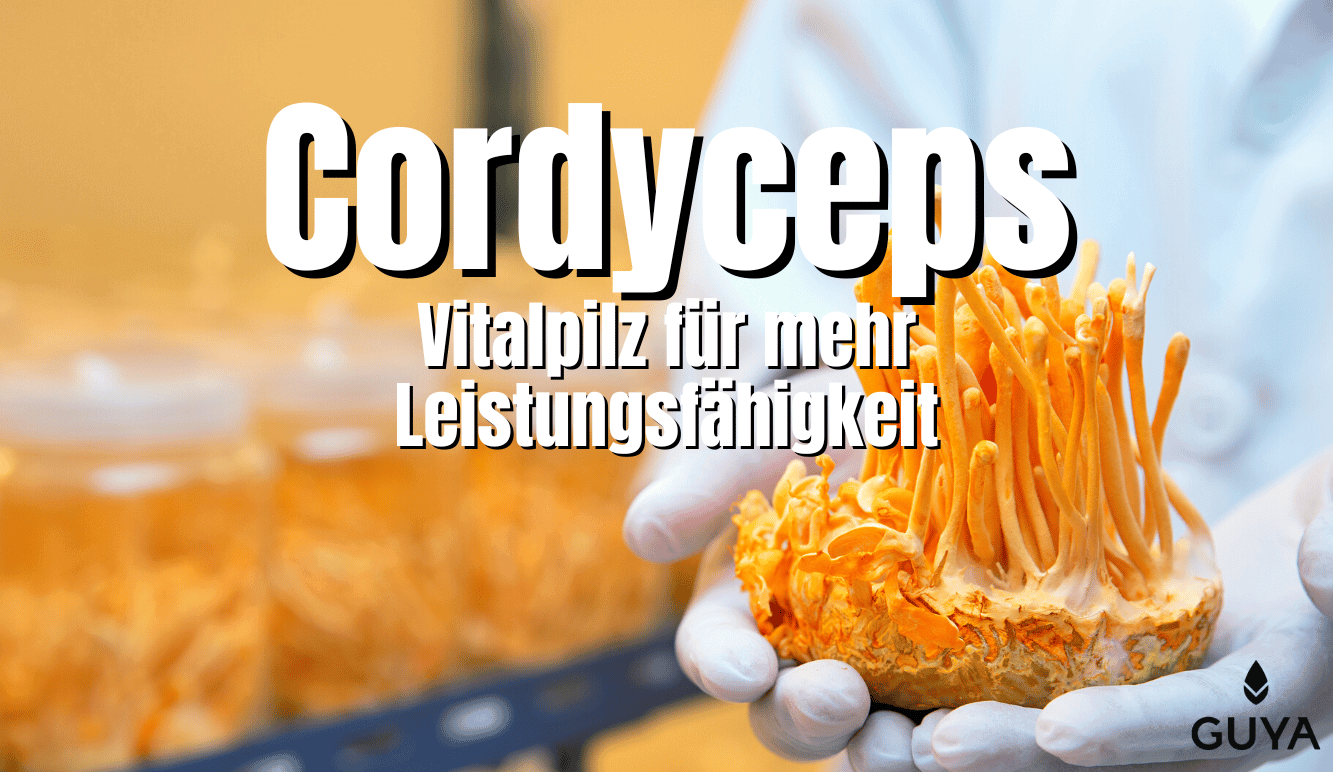 Cordyceps Pilz – Übersicht zu dem Vitalpilz und seiner Wirkung