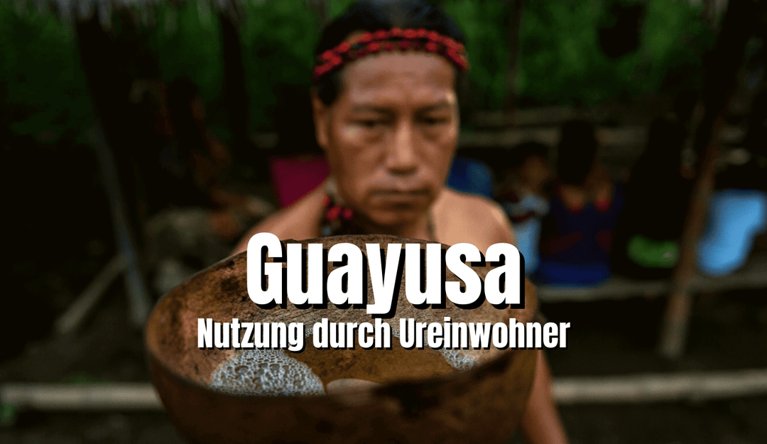 Der Gebrauch von Guayusa Tee durch die Ureinwohner