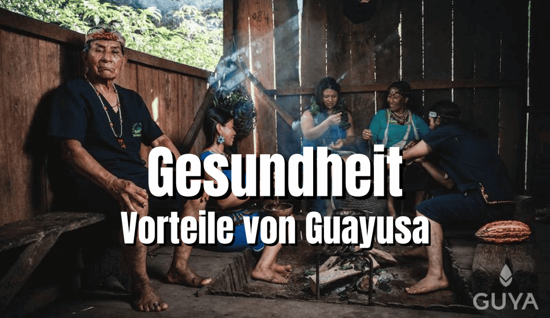 Gesundheitliche Vorteile von Guayusa Tee