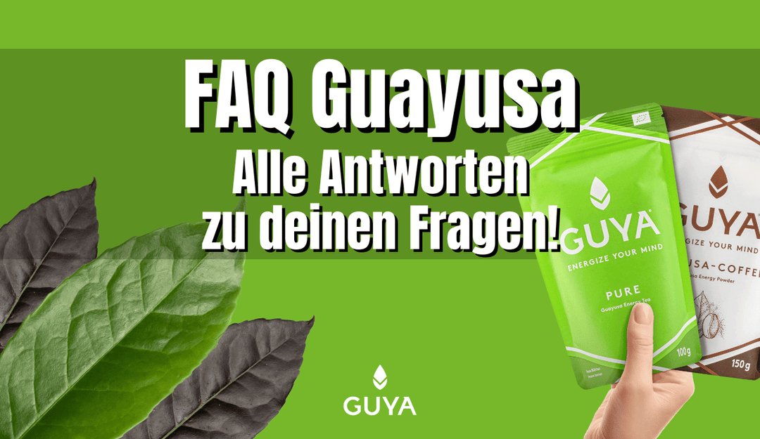FAQ zu Guayusa & koffeinhaltigen Getränken