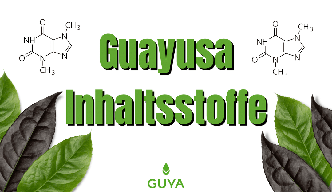 Guayusa Inhaltsstoffe, die dir grenzenlose Energie geben!