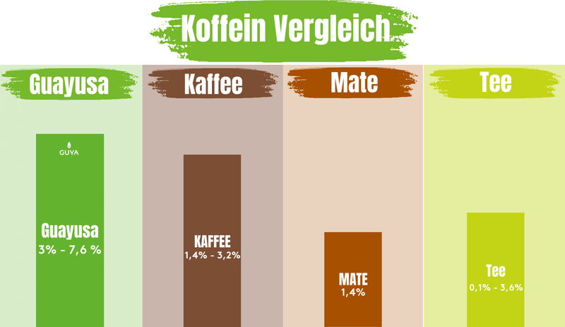 Guayusa Koffeingehalt - Mate, Grüner, Schwarzer Tee Koffeingehalt