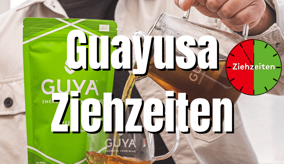 Guayusa Tee Ziehzeit und Dosierung