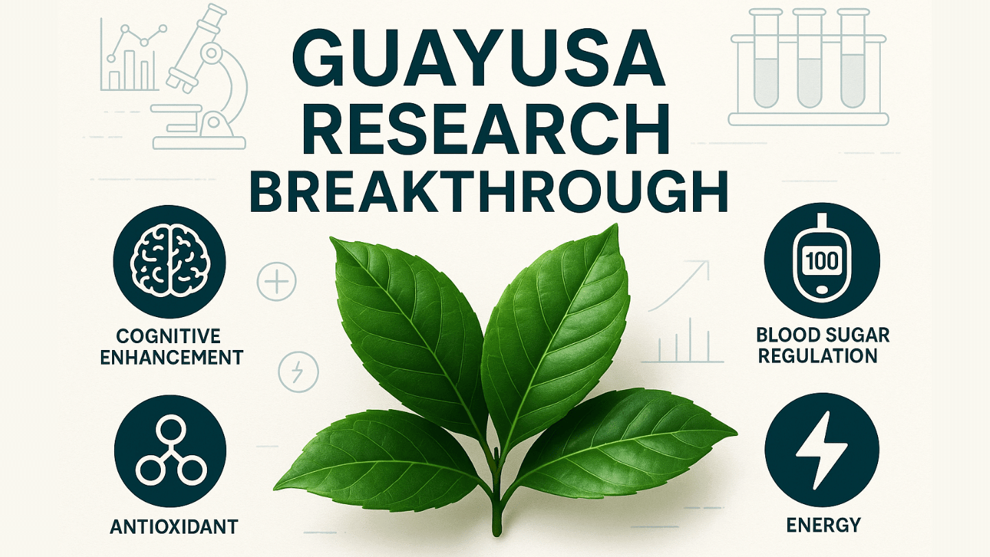 Guayusa verbessert Kognition, reguliert Blutzucker & wirkt antioxidativ