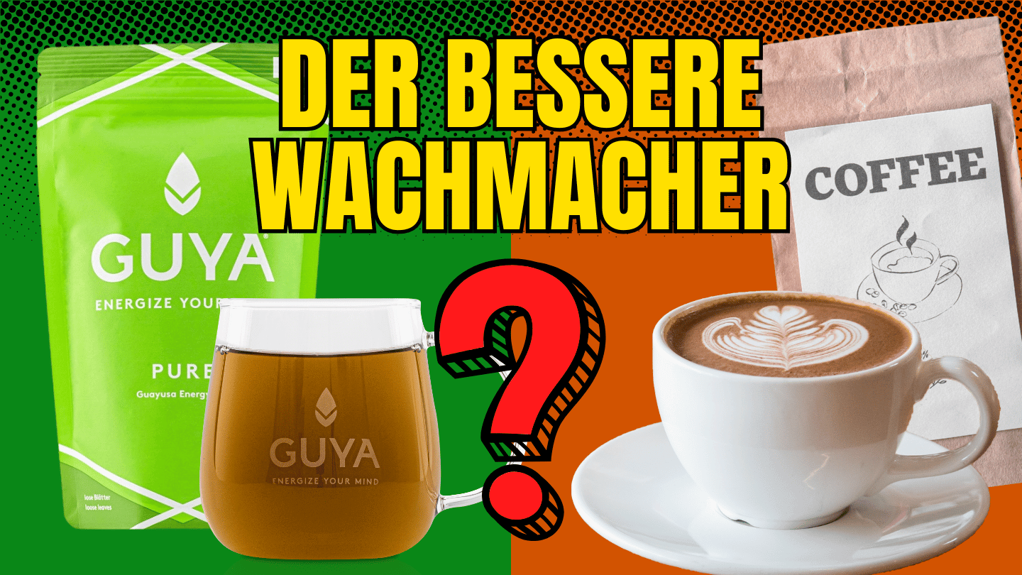 Guayusa vs. Kaffee – Der bessere Wachmacher?