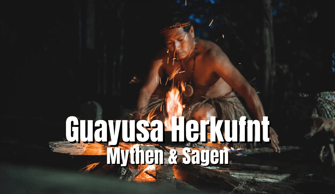 Myths and legends about the origin of Guayusa