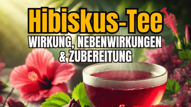 Hibiskus Tee: Wirkung, Nebenwirkungen & Zubereitung
