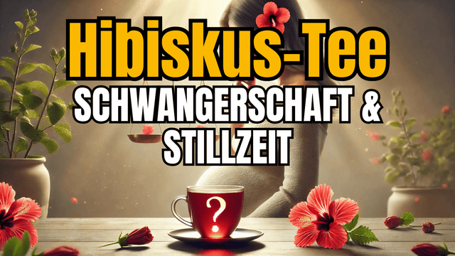 Hibiskus Tee in Schwangerschaft & Stillzeit – Sicher oder nicht?