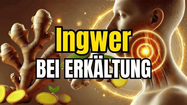 Ingwer & Immunsystem – Schutz vor Erkältung und Infekten