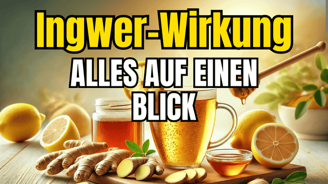 Ingwer – Wirkung, Vorteile & Nebenwirkungen auf einen Blick