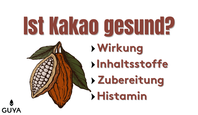 Ist Kakao gesund – Inhaltsstoffe, Wirkung, Histamin & Zubereitung