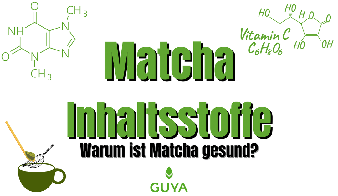 Matcha Inhaltsstoffe – Warum ist Matcha gesund?