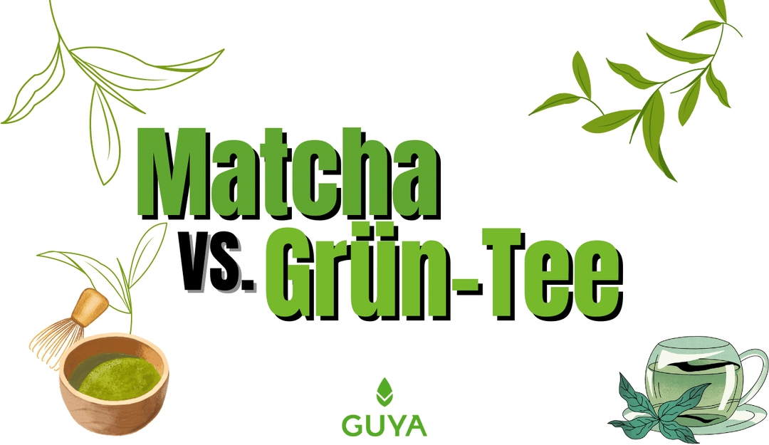 Matcha VS Green Tea - Matcha or Green Tea?