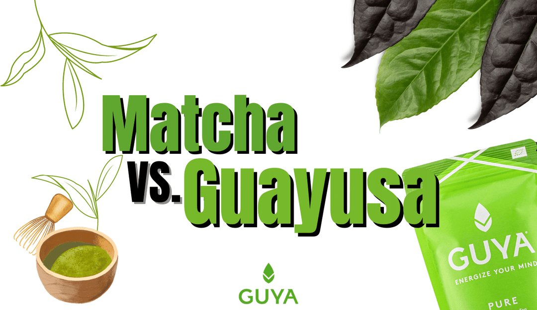 Matcha vs Guayusa - Which tea is healthier & makes it awakening?