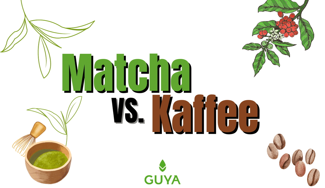 Matcha VS Kaffee – Matcha oder Kaffee?