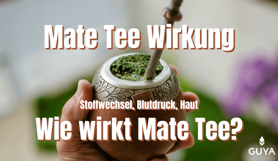 Mate tea effect - blood pressure, skin, weight loss effects of mate