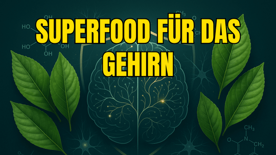 Neuroprotektive Eigenschaften von Guayusa – Amazonas-Superfood für das Gehirn