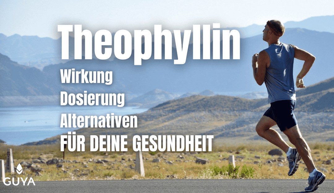 Theophylline effect – side effects, alternative, dosage