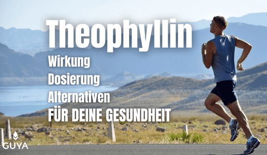 Theophyllin Wirkung – Nebenwirkungen, Alternative, Dosierung