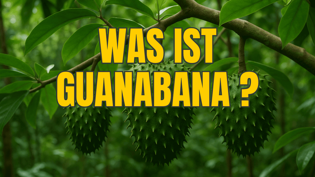 Was ist Guanabana? Alles über die exotische Stachelannone