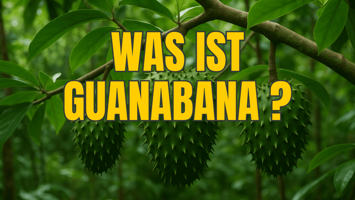 Was ist Guanabana? Alles über die exotische Stachelannone