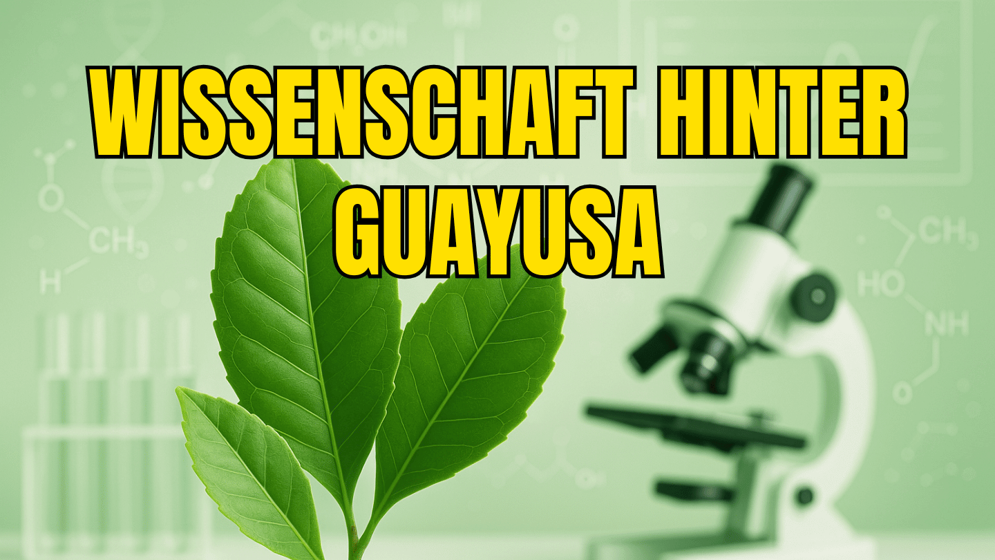Die Wissenschaft hinter Guayusa – Studien über das Amazonas-Superfood