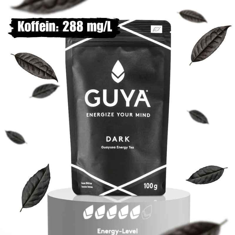 Bio Guayusa Tee DARK bestellen