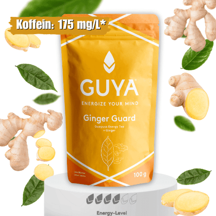 Guayusa Tee – Ginger-Guard - GUYA - Guayusa GmbH