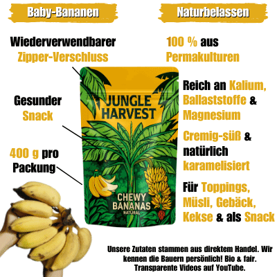 Chewy Bananas – Getrocknete Baby Bananen 400g VORVERKAUF - Bio Guayusa Tee kaufen - GUYA Guayusa Online Shop