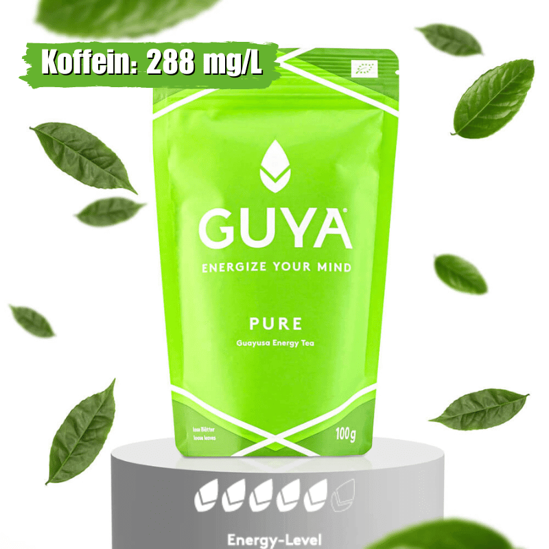 Guayusa Tee kaufen