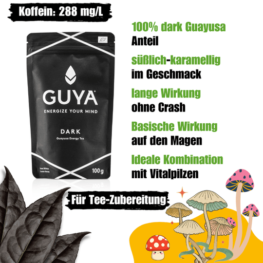 Guayusa-Vitalpilz-Bundle S - GUYA - Guayusa GmbH